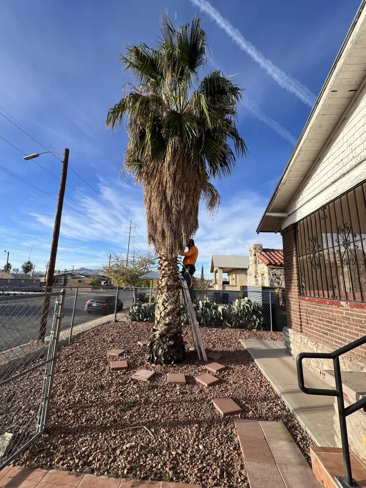 Custom landscape design near you across El Paso, TX - Millan Landscaping