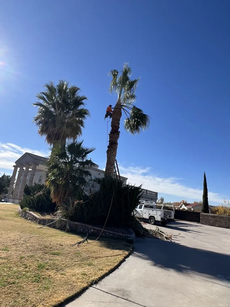 Local lawn care service in El Paso, TX - Millan Landscaping