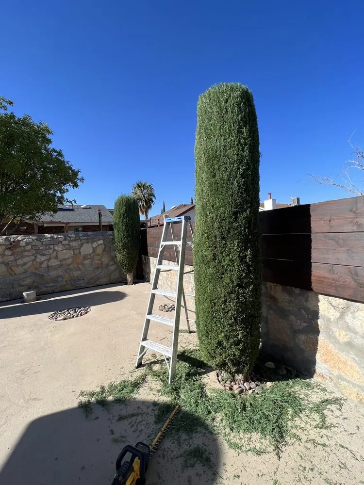 Trusted outdoor landscaping near you in El Paso, TX by Millan Landscaping