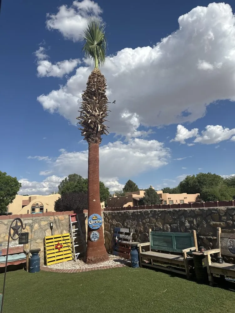 Professional landscape installation for beautiful yards across El Paso, TX - Millan Landscaping