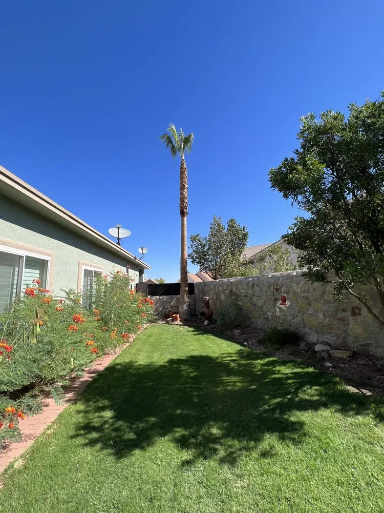 Top-rated landscaping services near you in El Paso, TX by Millan Landscaping