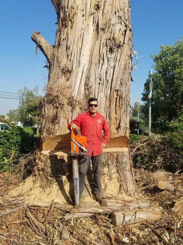 Affordable garden landscaping experts serving El Paso, TX - Millan Landscaping