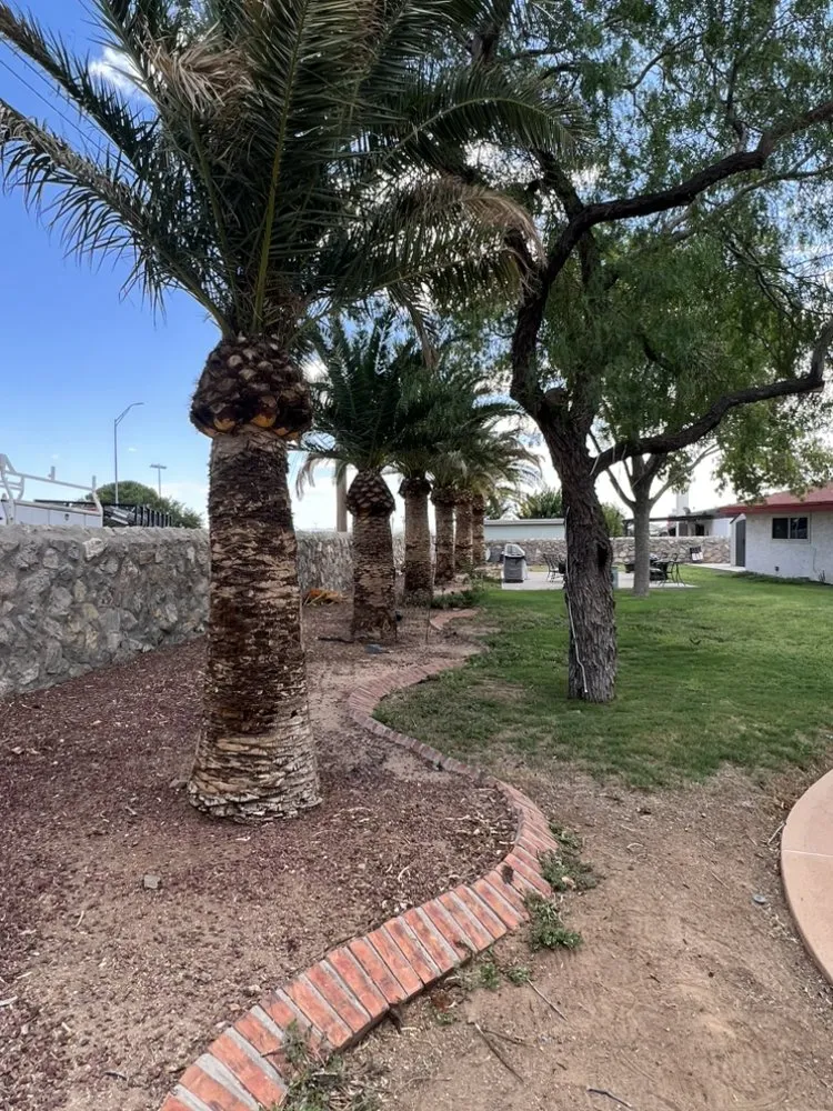 Custom residential landscaping in El Paso, TX by Millan Landscaping