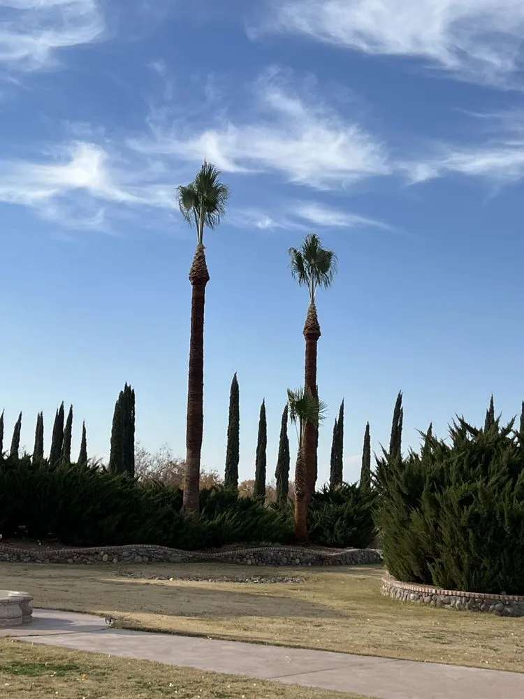 Local residential landscaping in El Paso, TX by Millan Landscaping