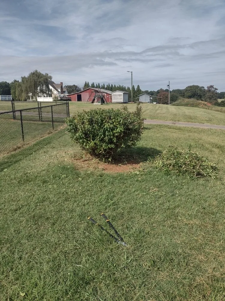 Reliable landscape design with custom design in Forest City, NC by Millard's Lawncare