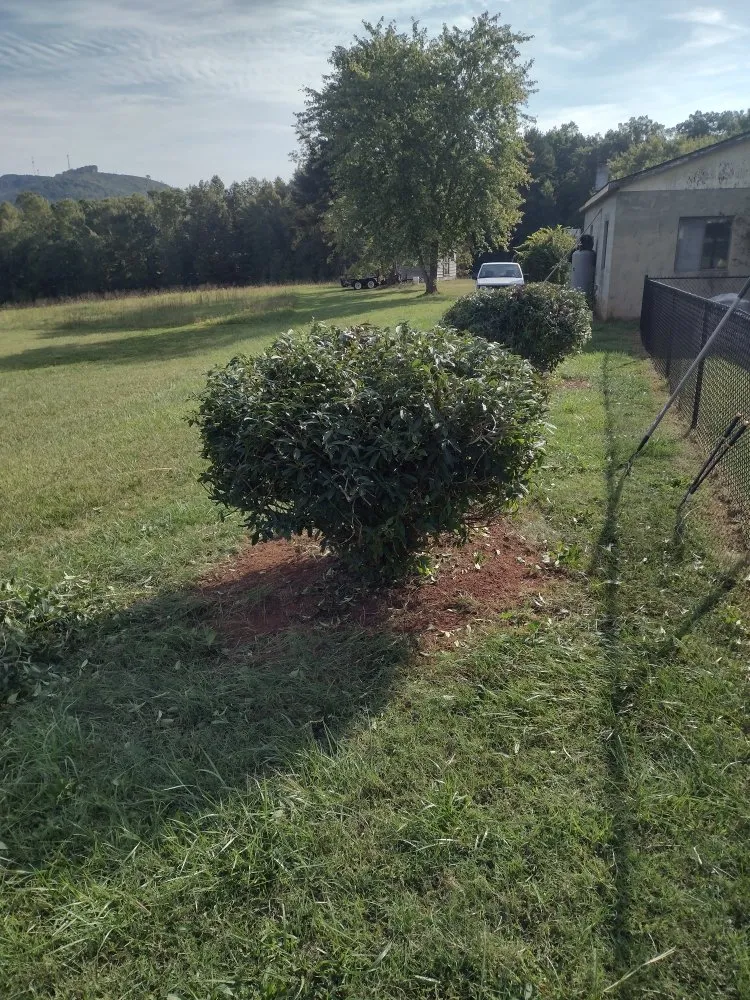 Expert residential landscaping with custom design in Forest City, NC by Millard's Lawncare