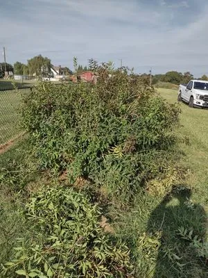 Millard's Lawncare Logo