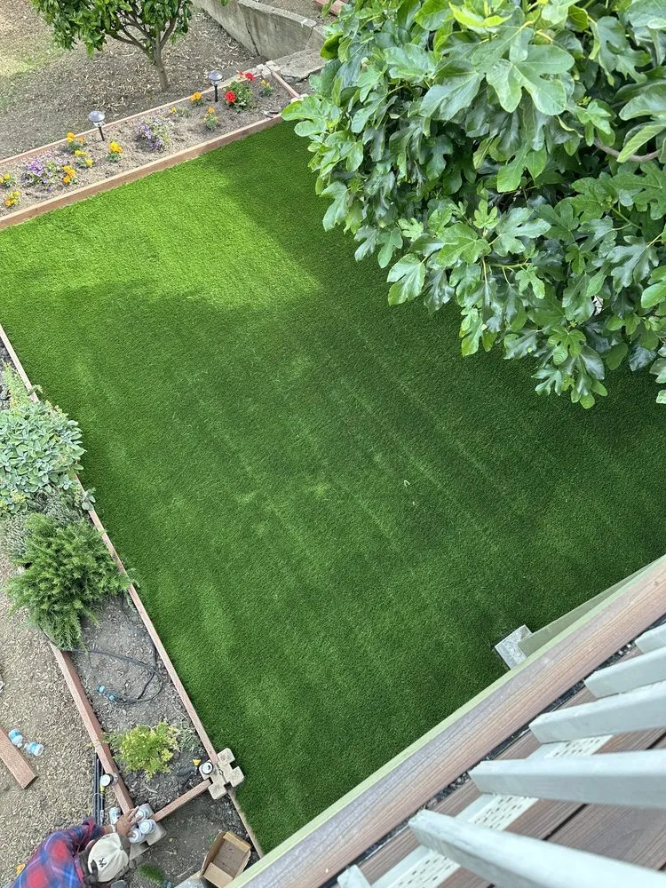 Top-rated landscaping services in Pittsburg, CA by Millawns