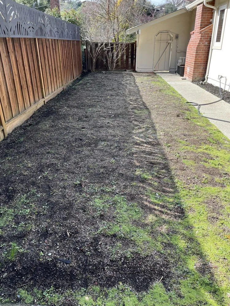 Trusted residential landscaping experts serving Pittsburg, CA - Millawns
