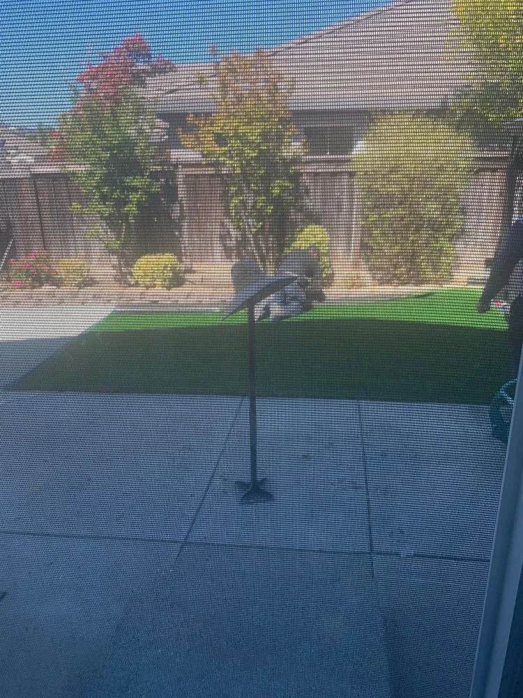 Affordable outdoor landscaping for year-round maintenance across Pittsburg, CA - Millawns