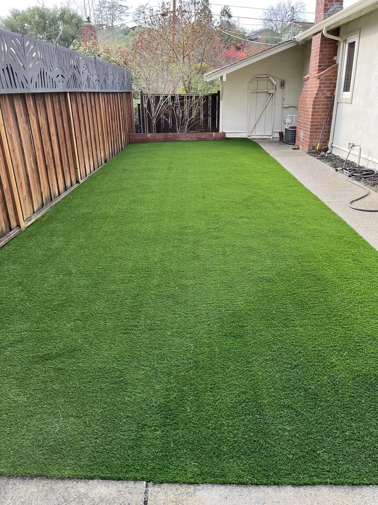 Top-rated yard cleanup service in Pittsburg, CA - Millawns