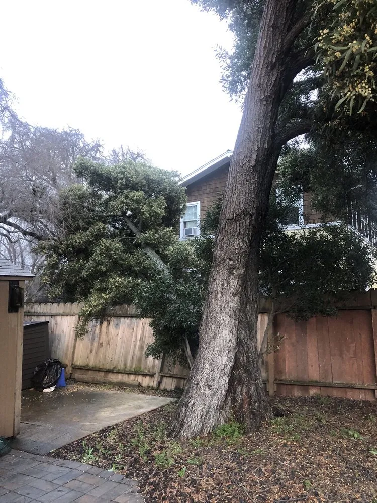 Affordable lawn mowing service in Pittsburg, CA - Millawns