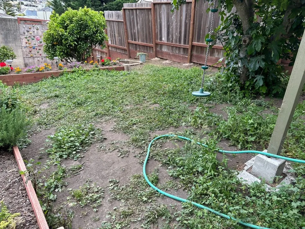 Professional landscaping services for beautiful yards across Pittsburg, CA - Millawns