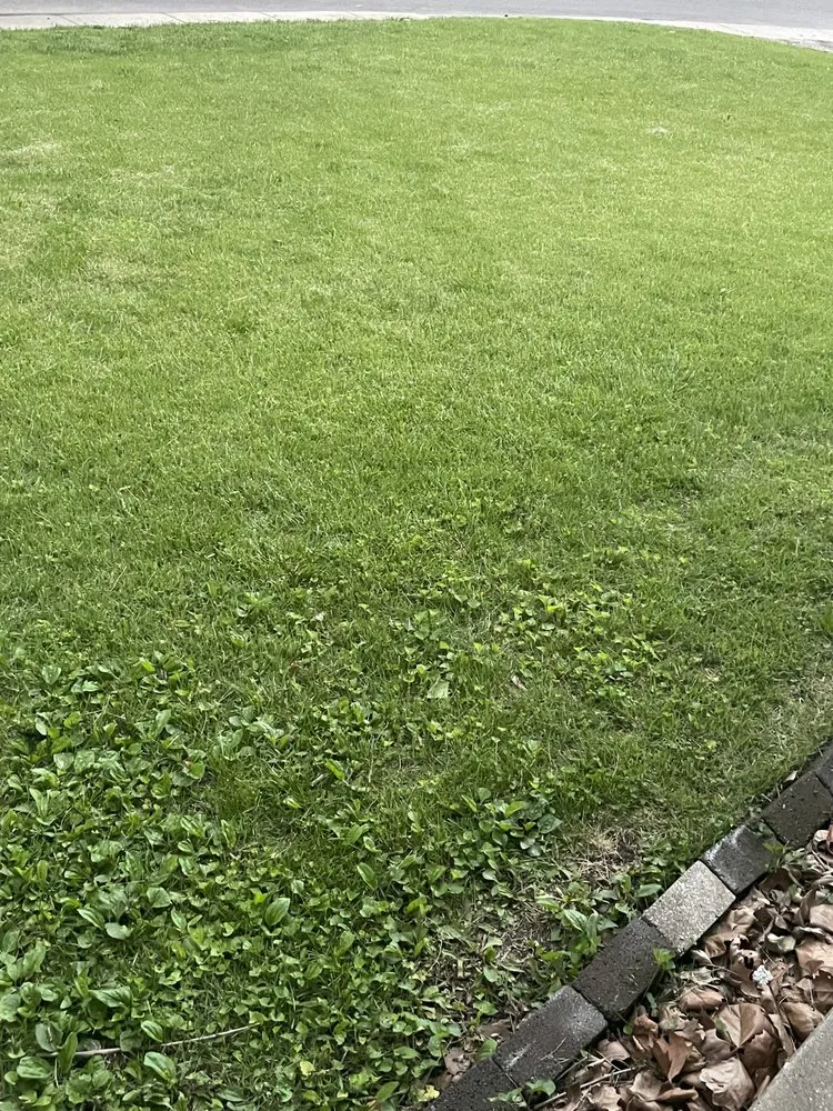 Top-rated yard maintenance in Springfield, IL by Millburg Lawn Service