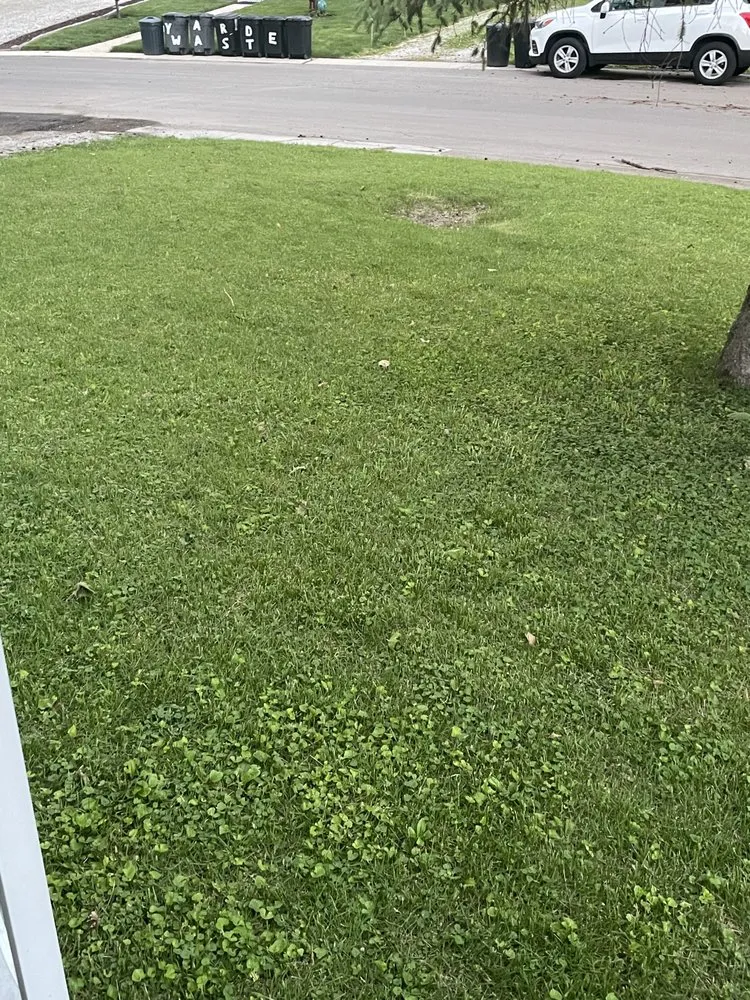 Trusted yard maintenance in Springfield, IL - Millburg Lawn Service