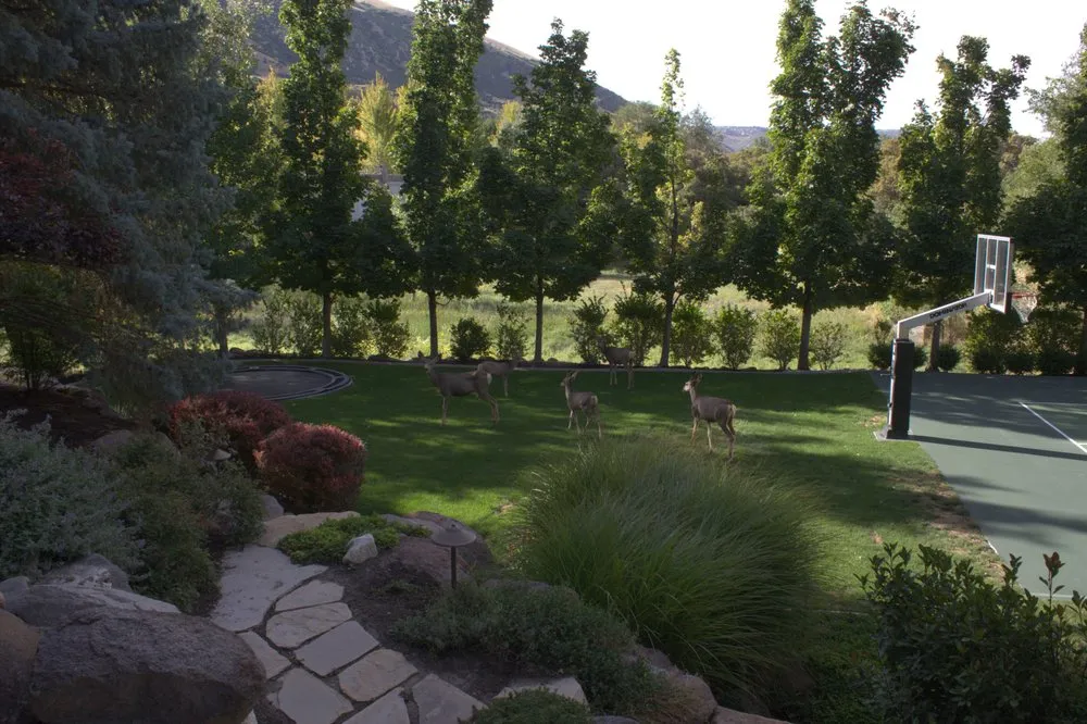 Trusted landscaping services with custom design in West Jordan, UT by Millburn Lawn & Landscape