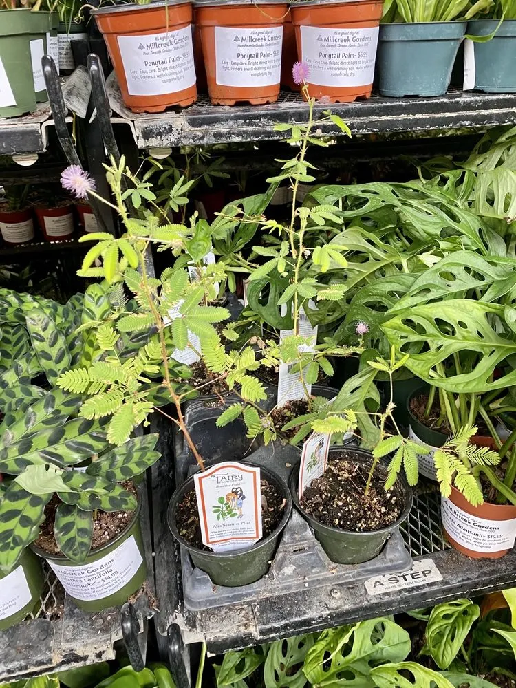 Professional residential landscaping in Salt Lake City, UT by Millcreek Gardens