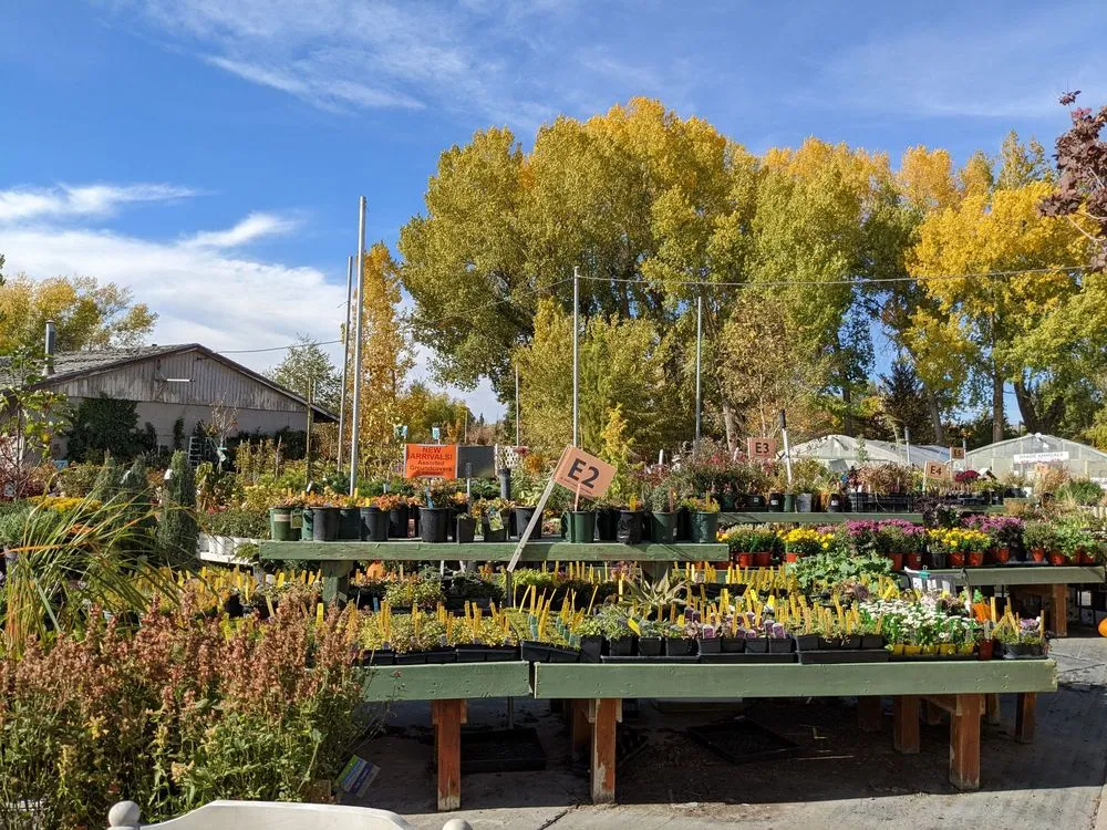 Reliable yard cleanup service in Salt Lake City, UT by Millcreek Gardens