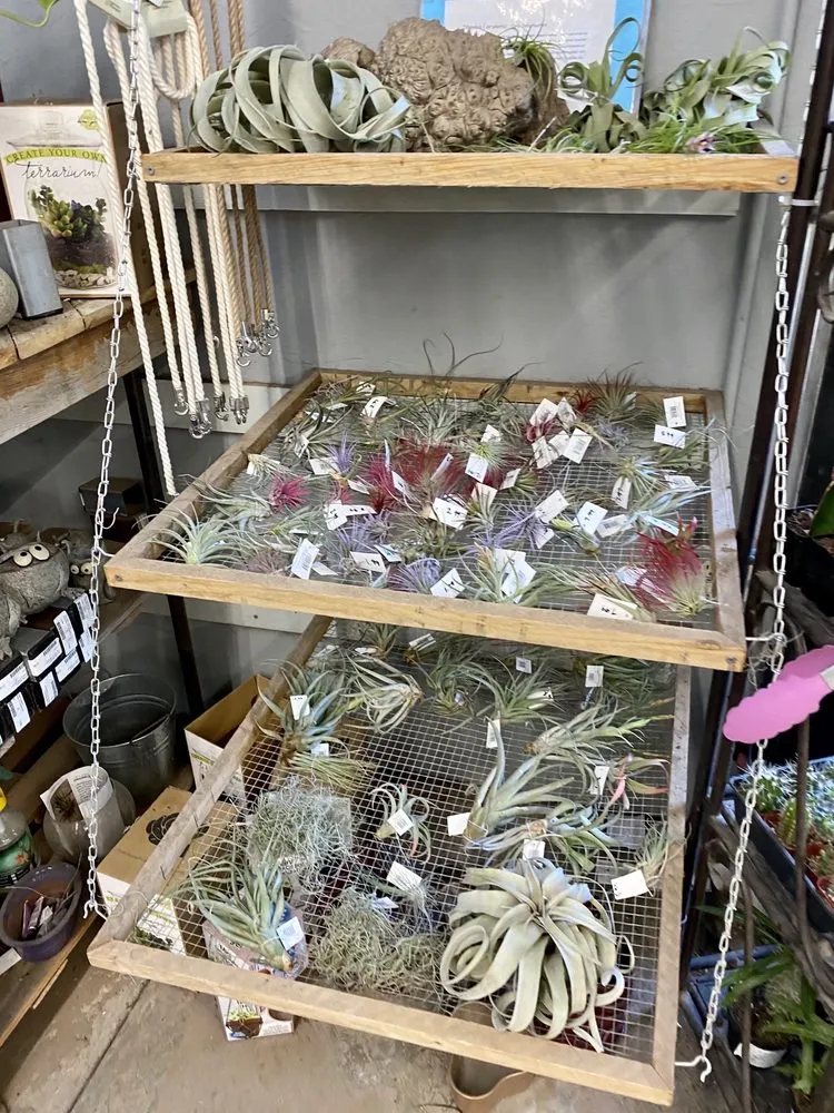 Expert outdoor landscaping experts serving Salt Lake City, UT - Millcreek Gardens