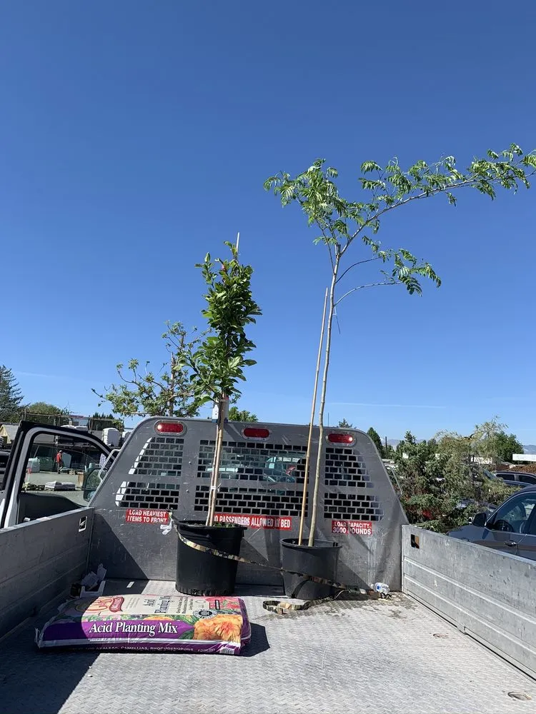 Trusted landscape design experts serving Salt Lake City, UT - Millcreek Gardens