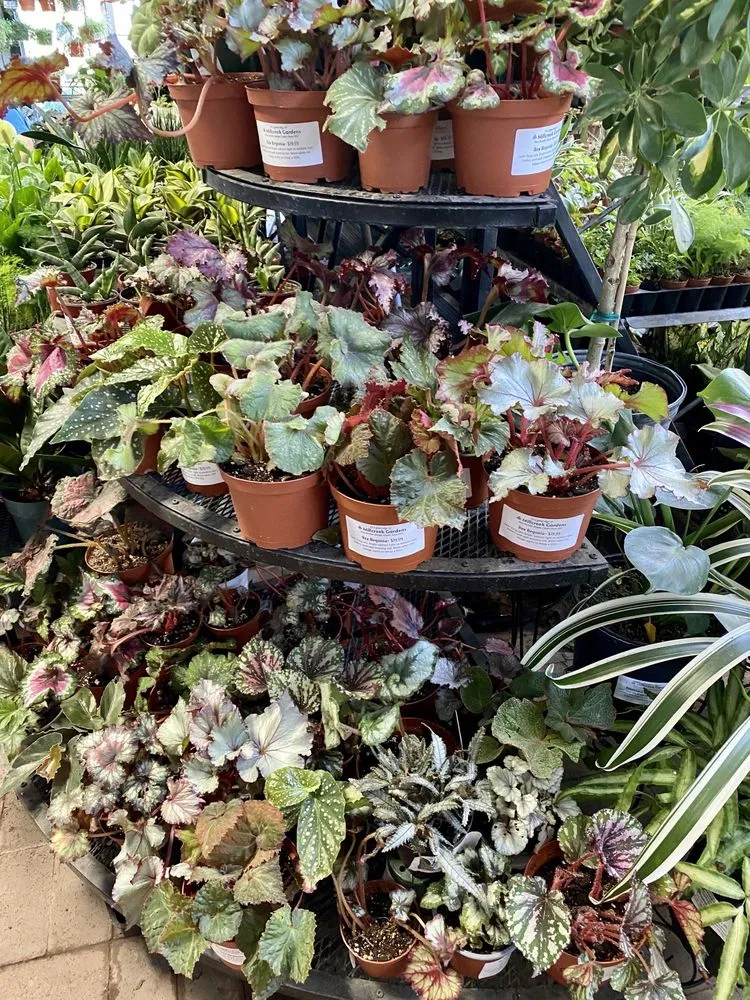 Local yard cleanup service experts serving Salt Lake City, UT - Millcreek Gardens