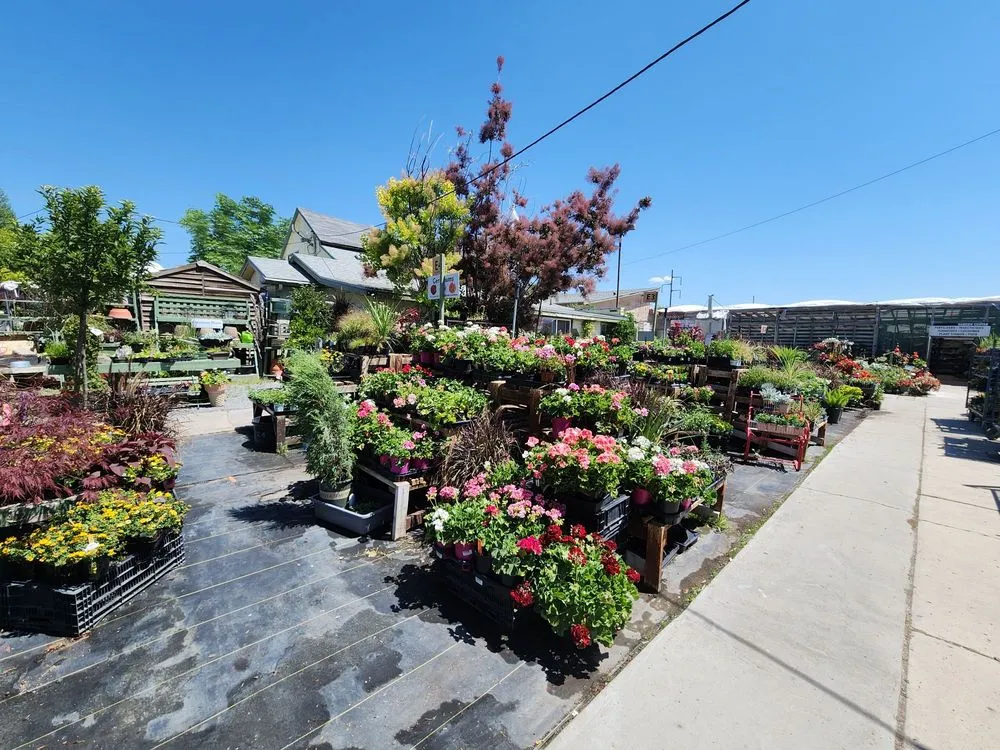 Trusted landscape installation for outdoor upgrades in Salt Lake City, UT by Millcreek Gardens