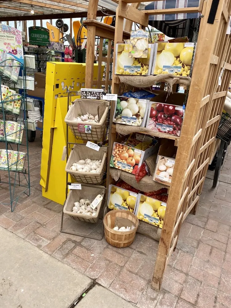 Trusted yard cleanup service with custom design in Salt Lake City, UT by Millcreek Gardens