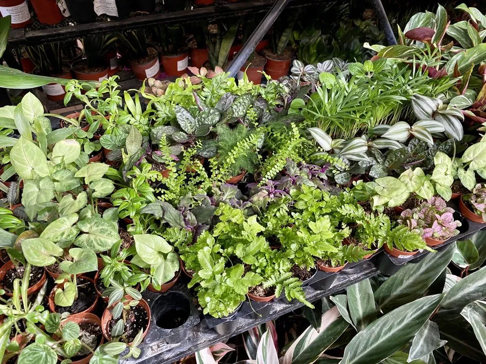 Trusted landscape design in Salt Lake City, UT by Millcreek Gardens