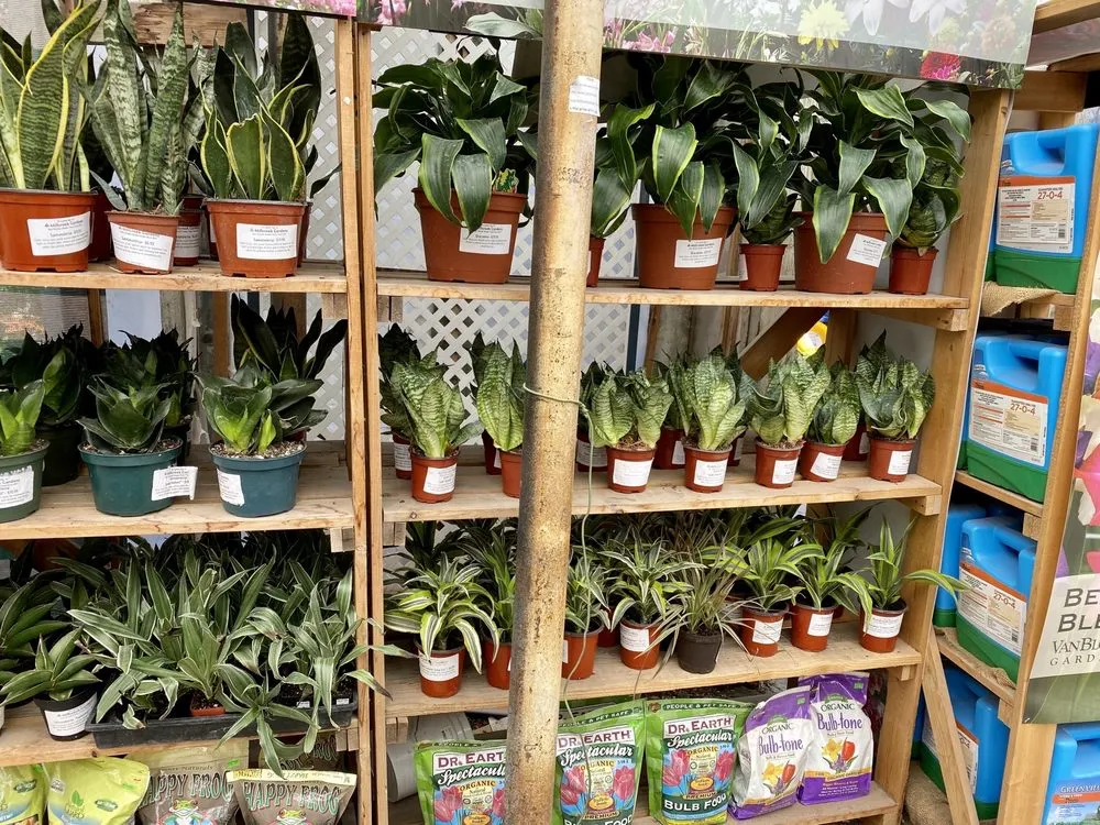 Top-rated lawn mowing service in Salt Lake City, UT by Millcreek Gardens