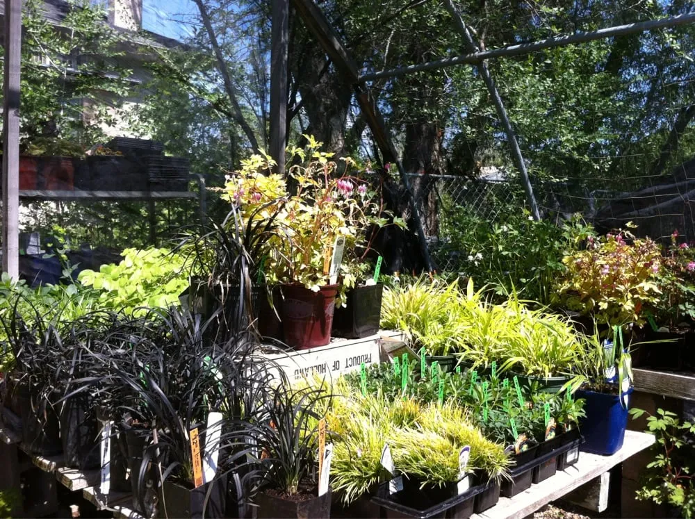 Reliable landscape installation in Salt Lake City, UT by Millcreek Gardens