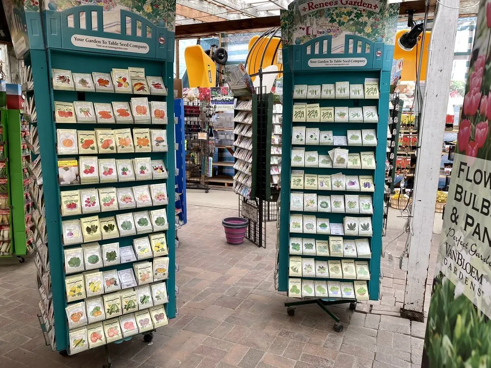 Affordable yard cleanup service in Salt Lake City, UT by Millcreek Gardens