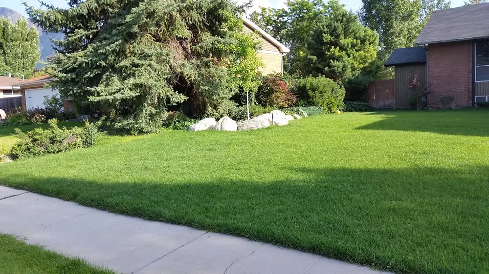 Affordable lawn care service for year-round maintenance in Salt Lake City, UT by Millcreek Landscape