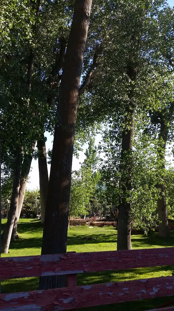 Local lawn mowing service experts serving Salt Lake City, UT - Millcreek Landscape