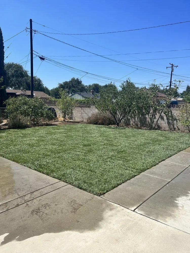Local lawn care service experts serving Visalia, CA - Millenium Landscape