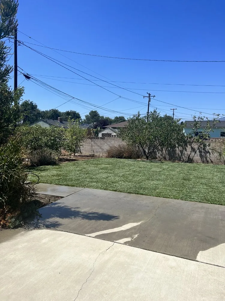 Reliable outdoor landscaping for beautiful yards in Visalia, CA by Millenium Landscape