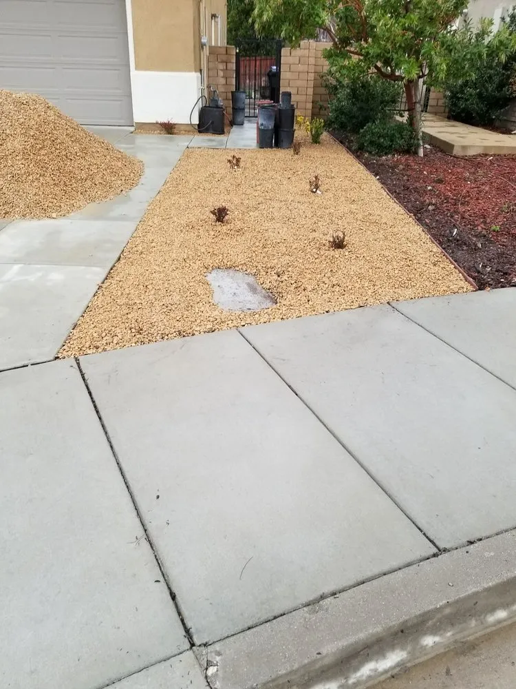 Professional yard cleanup service for year-round maintenance in Visalia, CA by Millenium Landscape