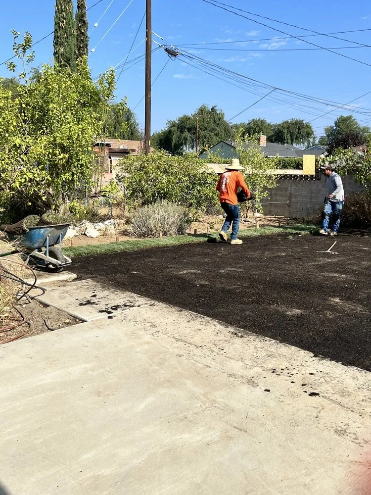 Reliable residential landscaping in Visalia, CA by Millenium Landscape