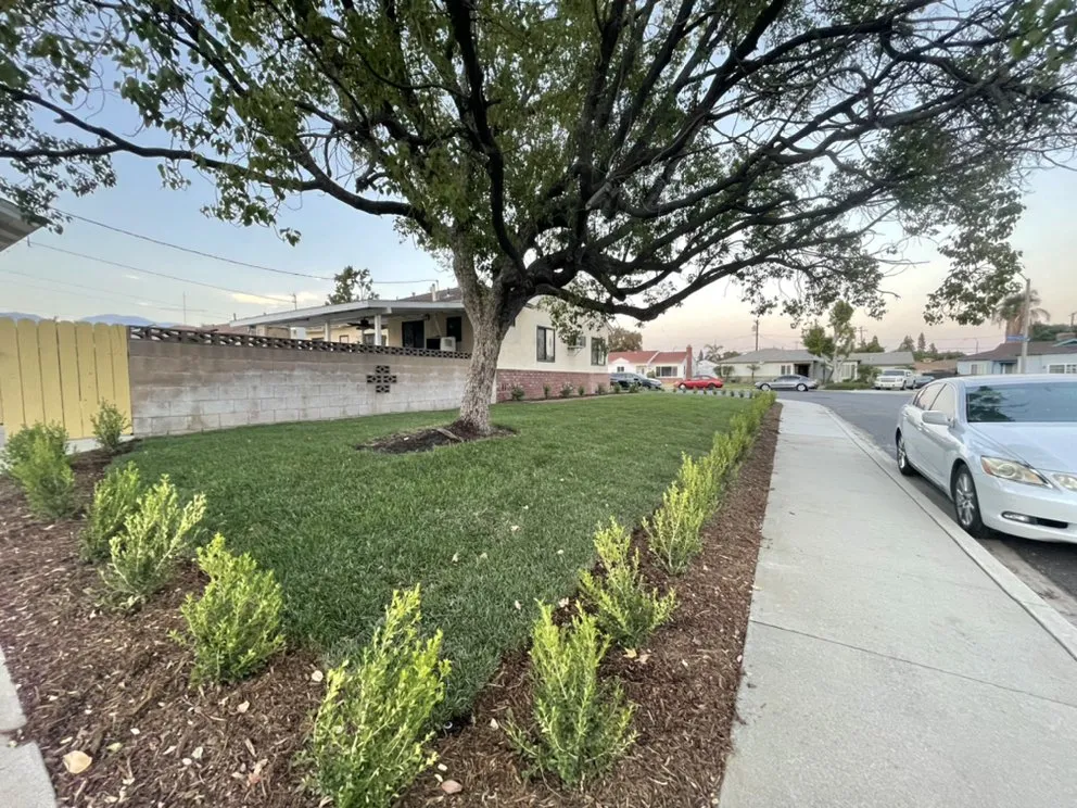 Affordable outdoor landscaping experts serving Visalia, CA - Millenium Landscape