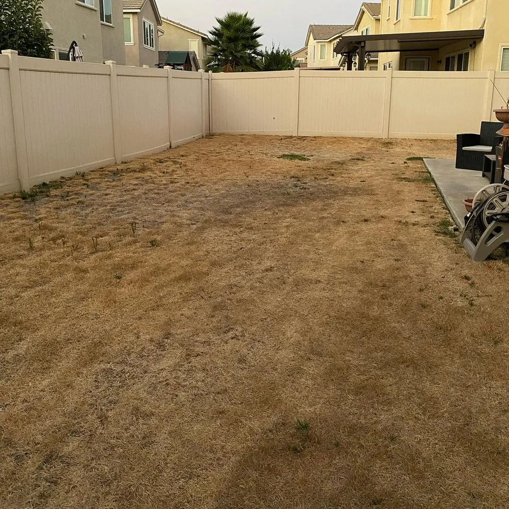 Professional lawn care service experts serving Visalia, CA - Millenium Landscape