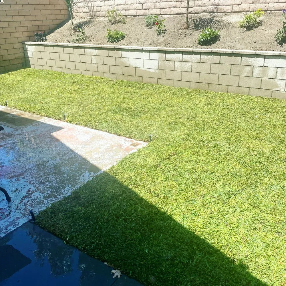 Reliable landscape design for beautiful yards in Visalia, CA by Millenium Landscape