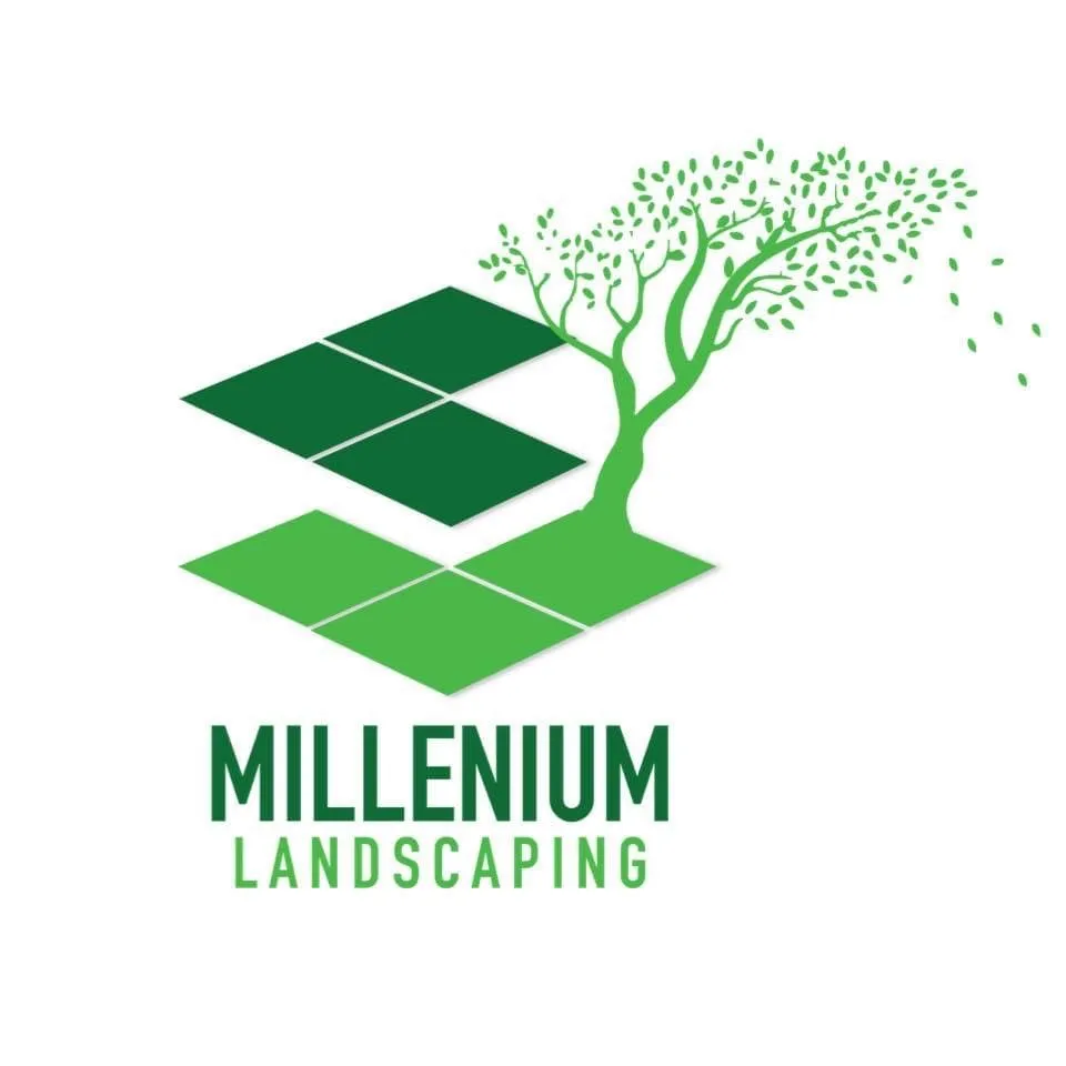 Affordable yard cleanup service for homes across Nottingham, MD - Millenium landscaping service