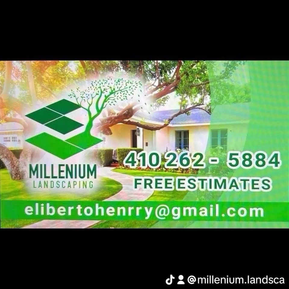 Trusted landscaping services in Nottingham, MD by Millenium landscaping service