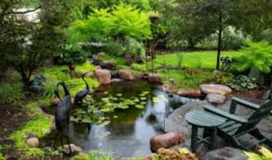 Affordable lawn care service in Kinnelon, NJ - Millenium Tree Service