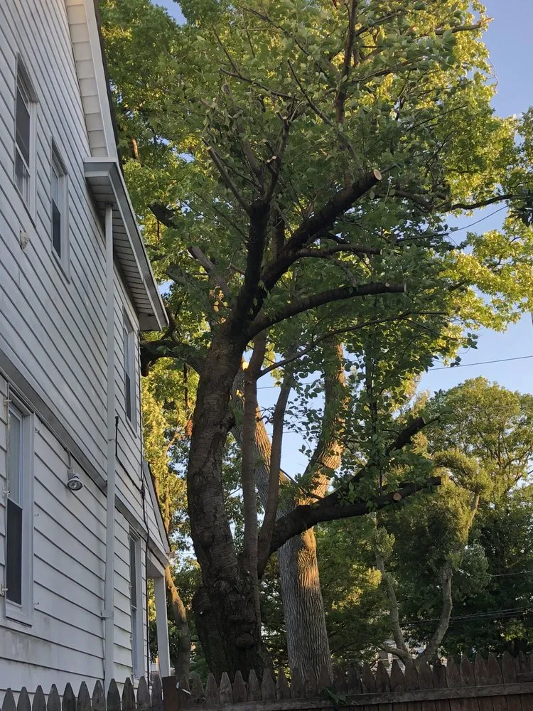 Expert lawn care service in Kinnelon, NJ by Millenium Tree Service