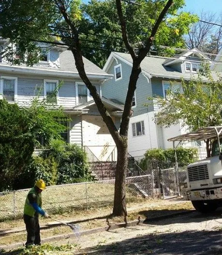 Local landscaping services for residential properties across Kinnelon, NJ - Millenium Tree Service