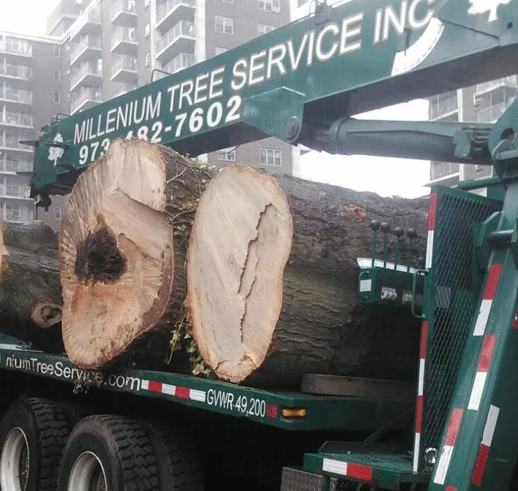 Top-rated garden landscaping for beautiful yards across Kinnelon, NJ - Millenium Tree Service