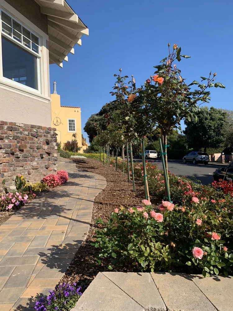 Affordable landscape design in Colma, CA - Millennial Landscape