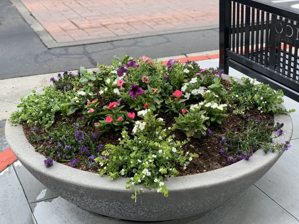 Custom landscaping services in Colma, CA - Millennial Landscape