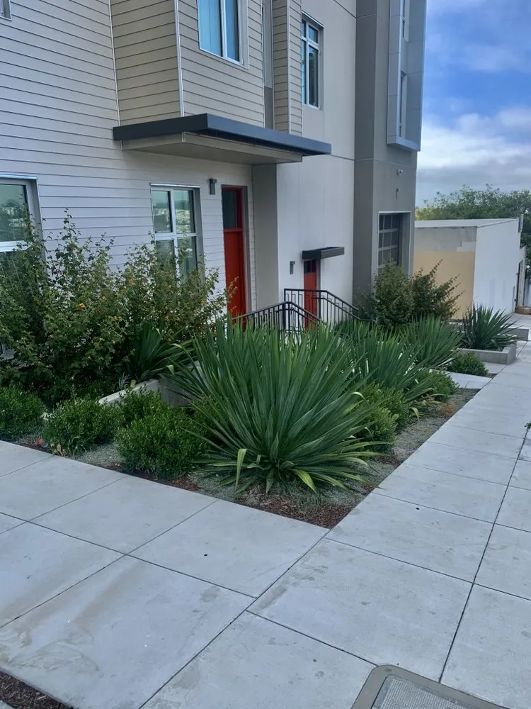 Trusted lawn mowing service with custom design across Colma, CA - Millennial Landscape