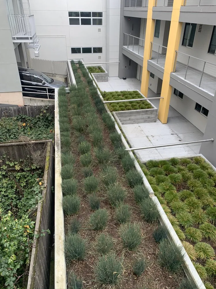 Trusted landscape installation in Colma, CA by Millennial Landscape